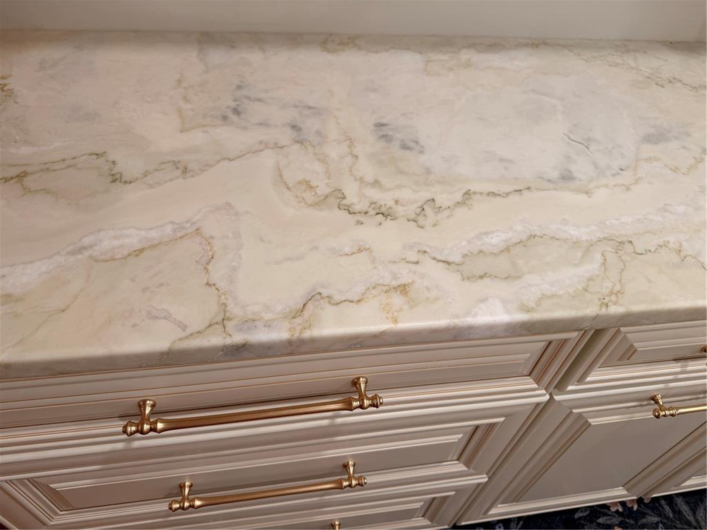 519 Norfolk Street Dunedin, FL 34698 - Photo 9 of 32