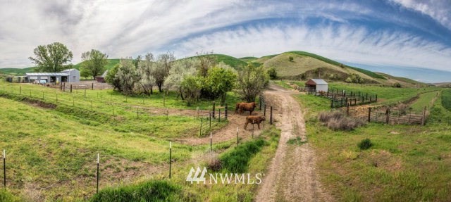 9590 Smith Springs Road Prescott, WA 99348 - Photo 40 of 40