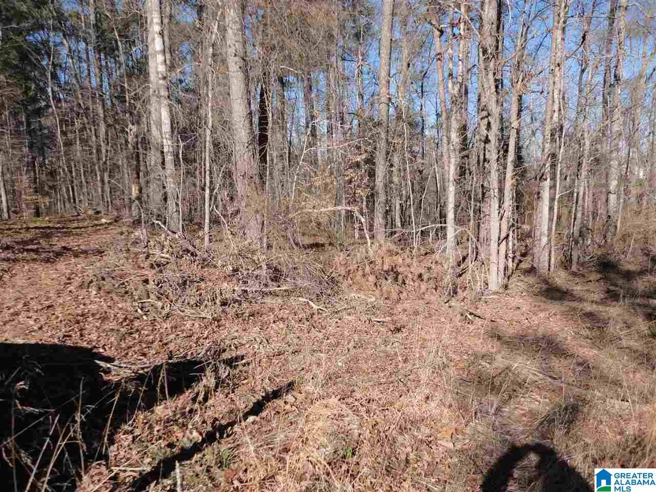 445 Crawfish Lane, Unit 14 15 Ragland, AL 35131 - Photo 6 of 8