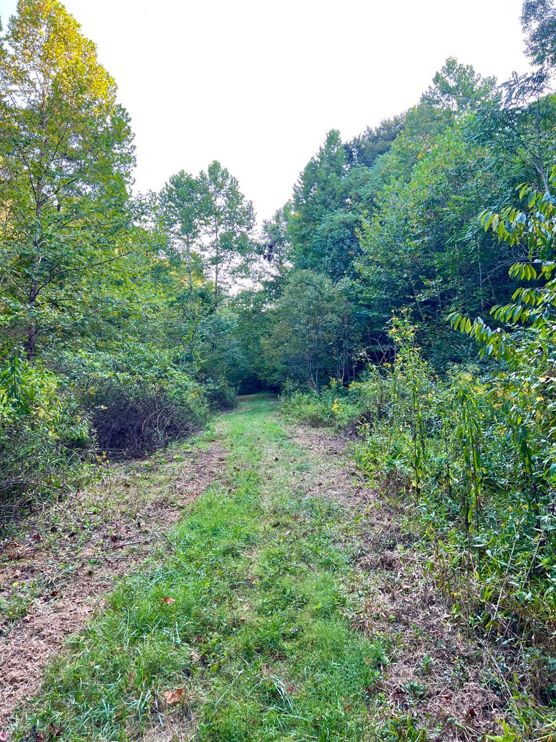 0 South Chenoweth Fork Road Piketon, OH 45661 - Photo 91 of 95