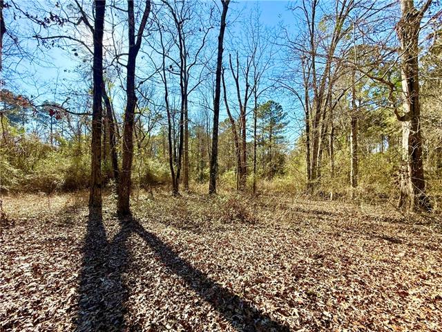0 Ike Road Trout, LA 71371 - Photo 2 of 6