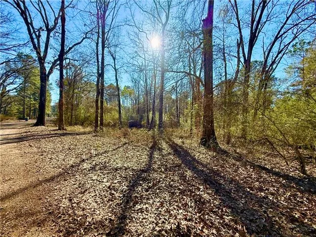 $21,250 | 0 Ike Road, Trout, LA 71371