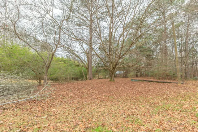 a view of yard covered with snow