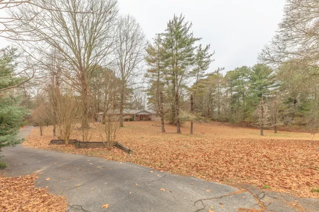 a front view of house with a yard and trees