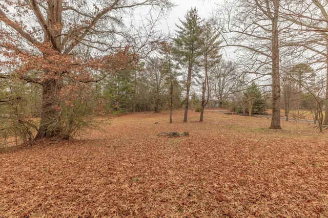 a view of covered with snow