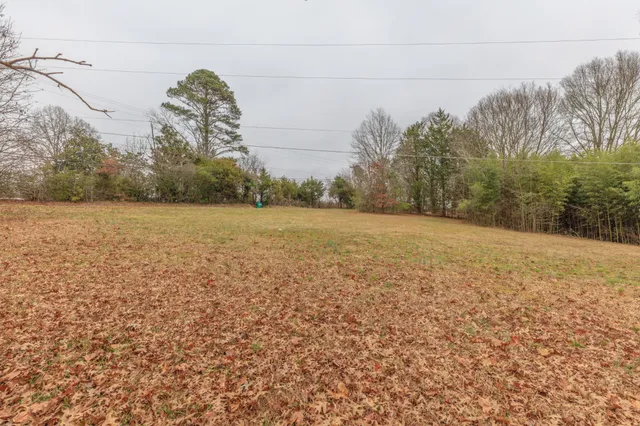 a view of a field with an ocean view