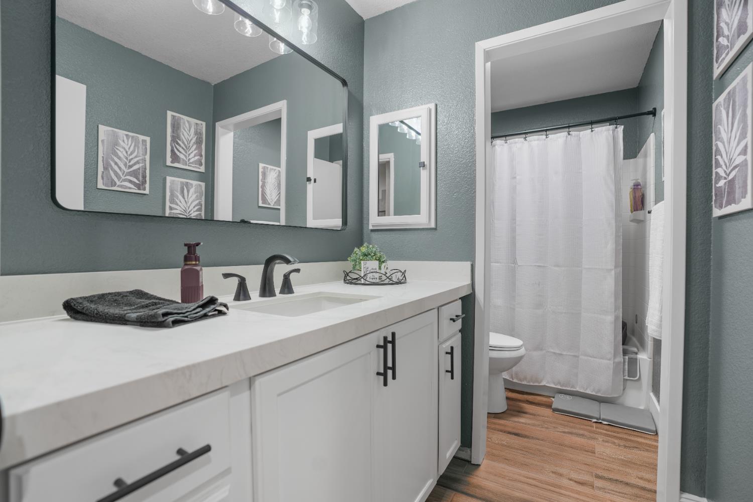 5125 Amaro Way Salida, CA 95368 - Photo 23 of 37 a bathroom with a granite countertop sink a toilet and a mirror