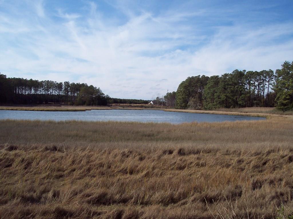 Lot #16 Metompkin Road, Unit 16 Bloxom, VA 23308 - Photo 3 of 7
