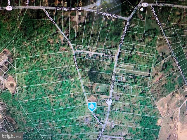 a view of an outdoor space