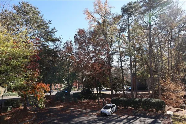 a view of a park with large trees