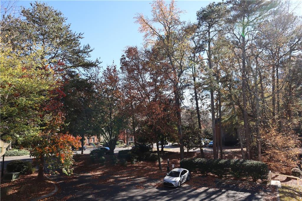 1103 Garden Court Atlanta, GA 30328 - Photo 15 of 17 a view of a park with large trees