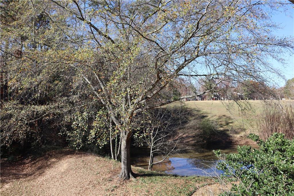 1103 Garden Court Atlanta, GA 30328 - Photo 16 of 17 a view of backyard with tree