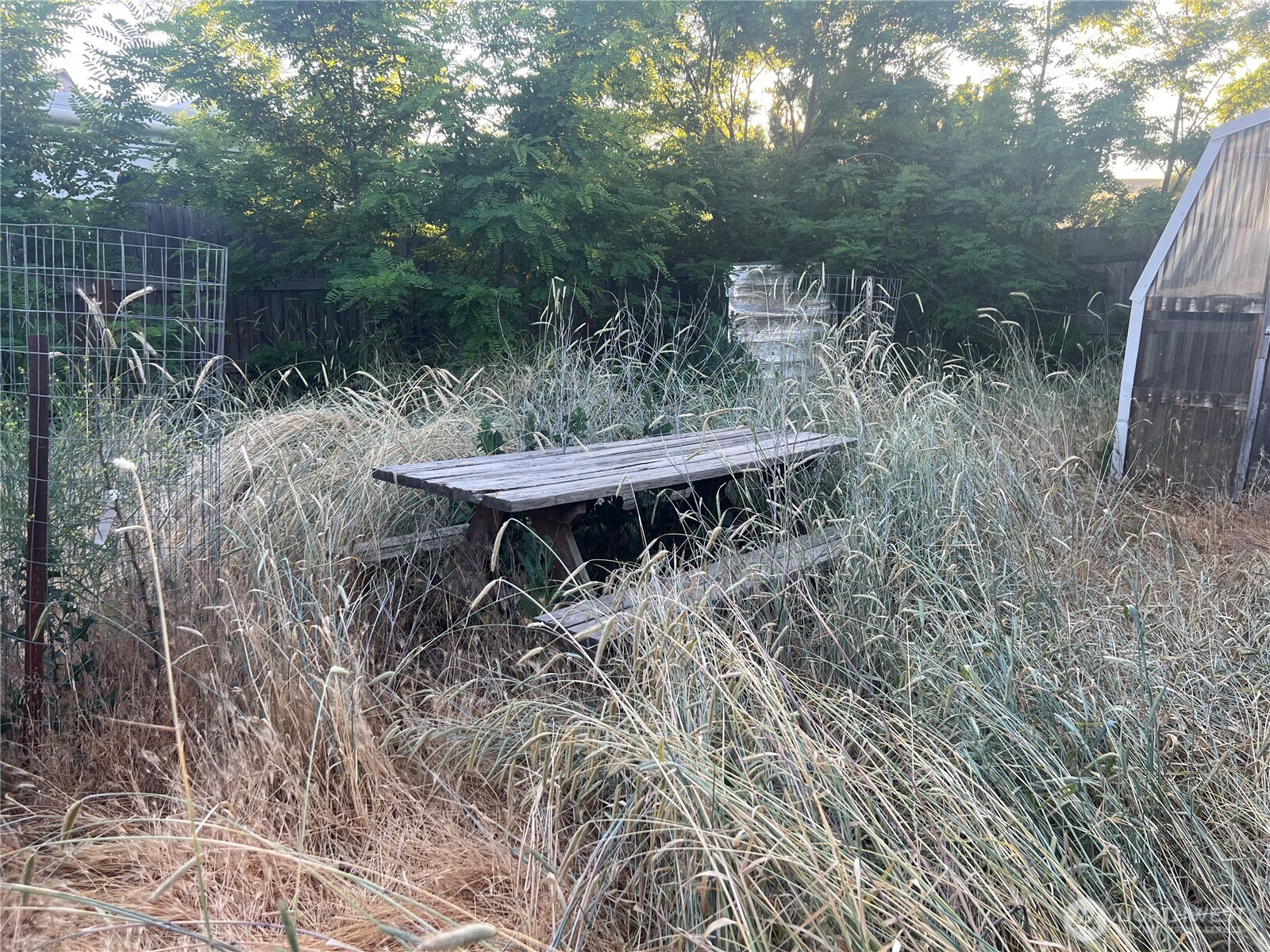 2965 Benge Winona Road Benge, WA 99105 - Photo 19 of 24 a view of a backyard with a wooden fence and plants