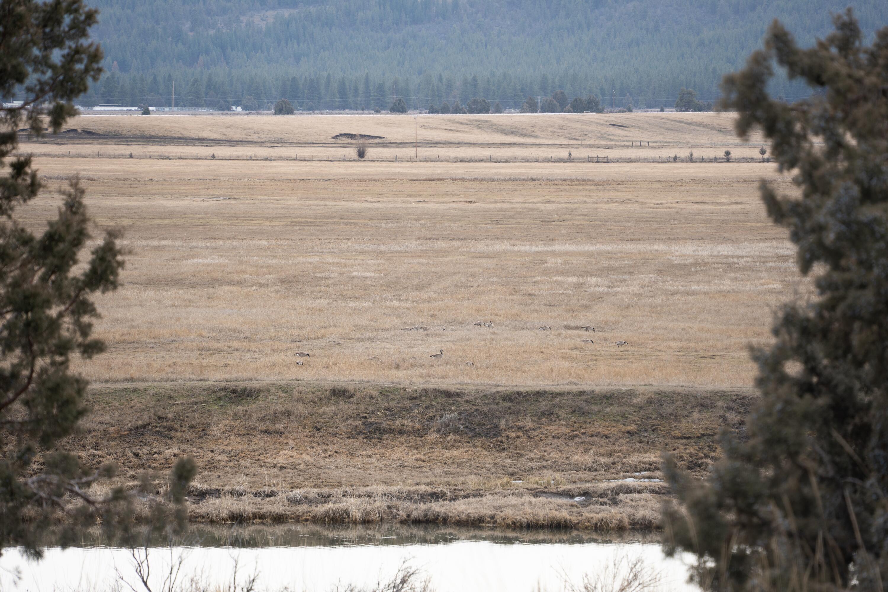 28319 Drews Road Chiloquin, OR 97624 - Photo 2 of 13