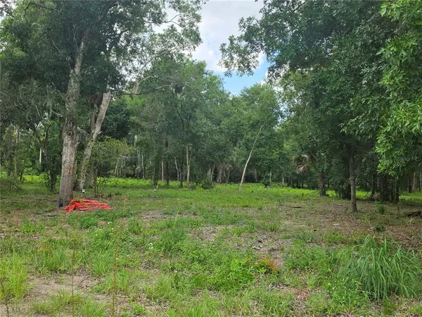 $620,000 | 180 Oak Street, Osteen, FL 32764
