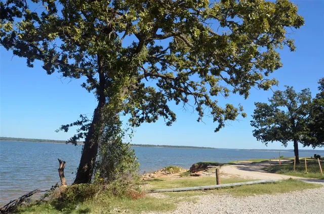 a view of a park with large trees