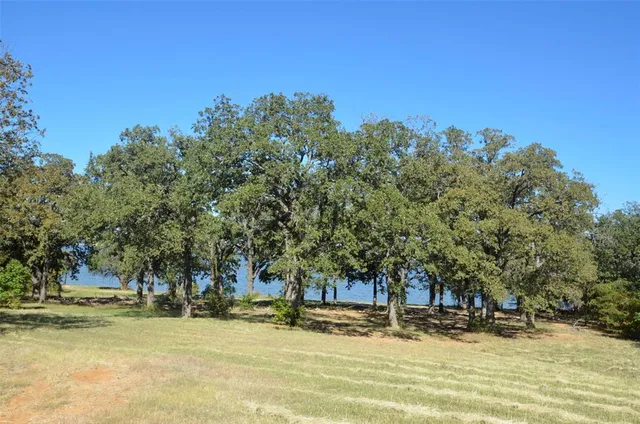 a view of a yard with an ocean view