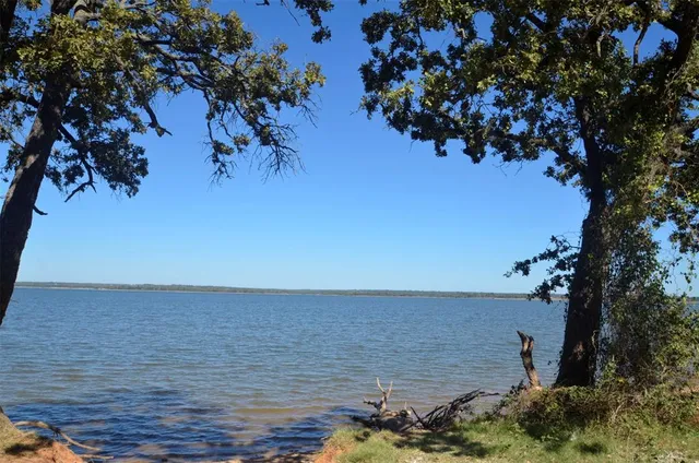 a view of a tree in a yard with wooden fence