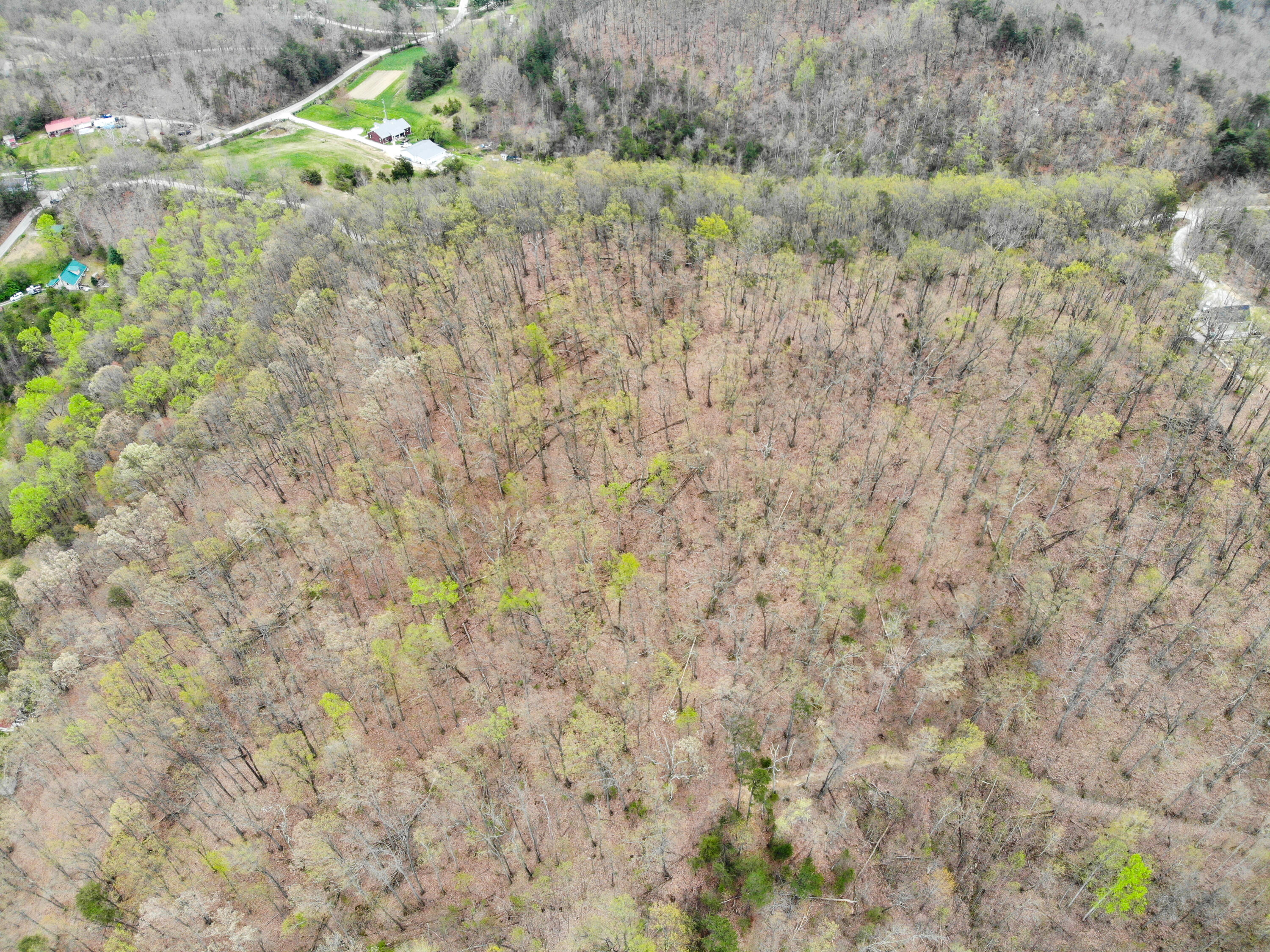 9999 Flat Gap Road Berea, KY 40403 - Photo 9 of 14 DJI_0544-2