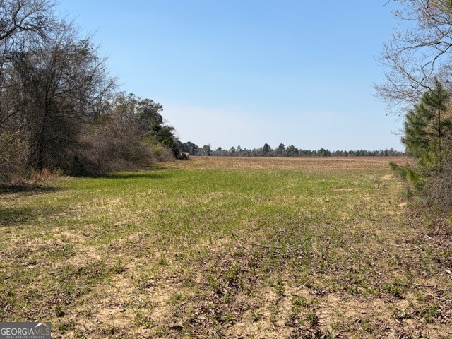 461 Currington Road Mauk, GA 31058 - Photo 11 of 30 a view of an ocean and beach