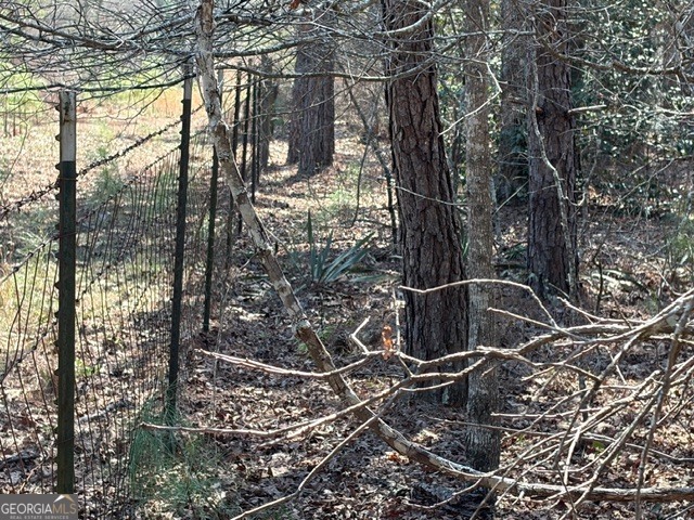 461 Currington Road Mauk, GA 31058 - Photo 14 of 30 a bathroom with a toilet and shower