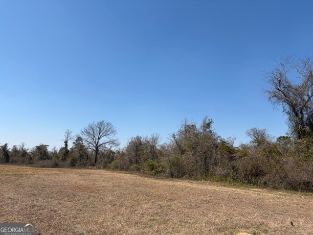 461 Currington Road Mauk, GA 31058 - Photo 2 of 30 a view of an outdoor space with mountain view
