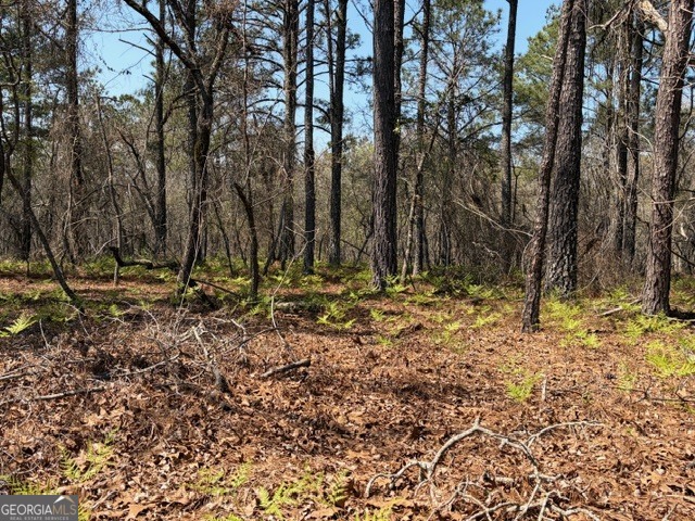 461 Currington Road Mauk, GA 31058 - Photo 23 of 30 a view of outdoor space with trees