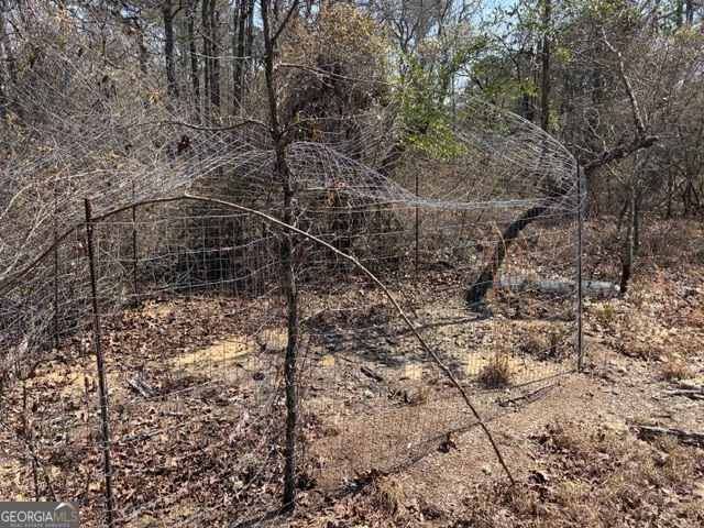 461 Currington Road Mauk, GA 31058 - Photo 24 of 30 a view of a dry yard with wooden fence and large trees