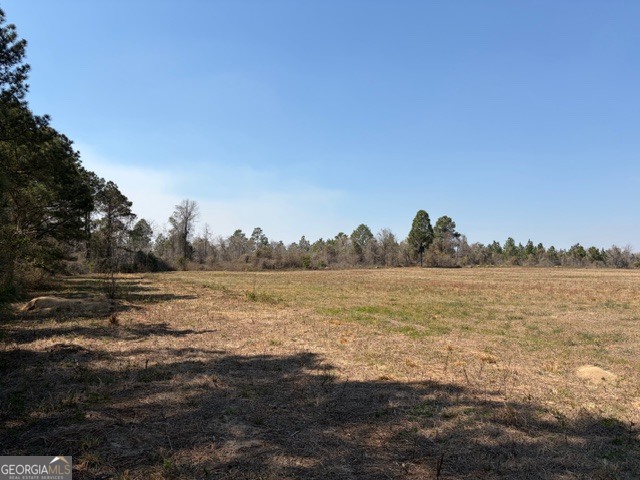 461 Currington Road Mauk, GA 31058 - Photo 26 of 30 a view of lake with mountain