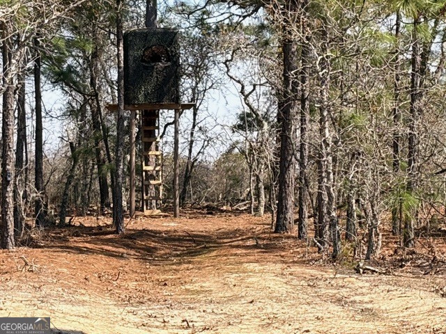461 Currington Road Mauk, GA 31058 - Photo 29 of 30 a view of a house with trees in the background