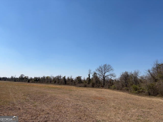 461 Currington Road Mauk, GA 31058 - Photo 3 of 30 a view of lake and mountain