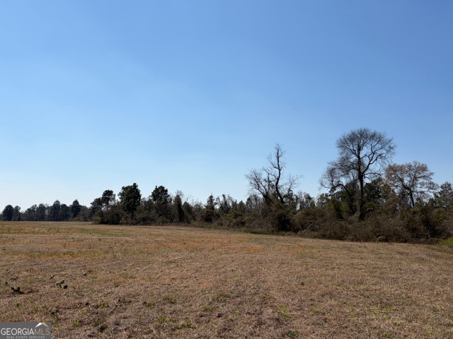 461 Currington Road Mauk, GA 31058 - Photo 4 of 30 a view of mountain view