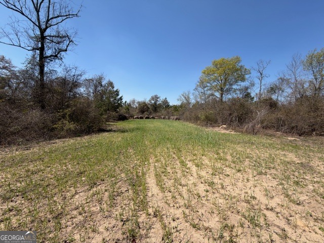 461 Currington Road Mauk, GA 31058 - Photo 5 of 30 a view of a field with an ocean