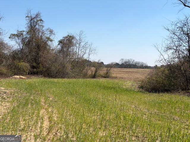 461 Currington Road Mauk, GA 31058 - Photo 6 of 30 a view of yard with ocean view