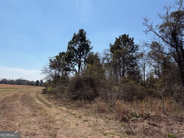 461 Currington Road Mauk, GA 31058 - Photo 7 of 30 a view of a lake with lots of trees