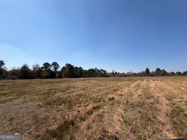 461 Currington Road Mauk, GA 31058 - Photo 8 of 30 a view of lake and sunset