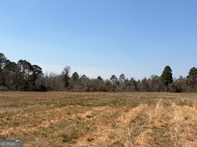 461 Currington Road Mauk, GA 31058 - Photo 9 of 30 a view of a field with trees in background