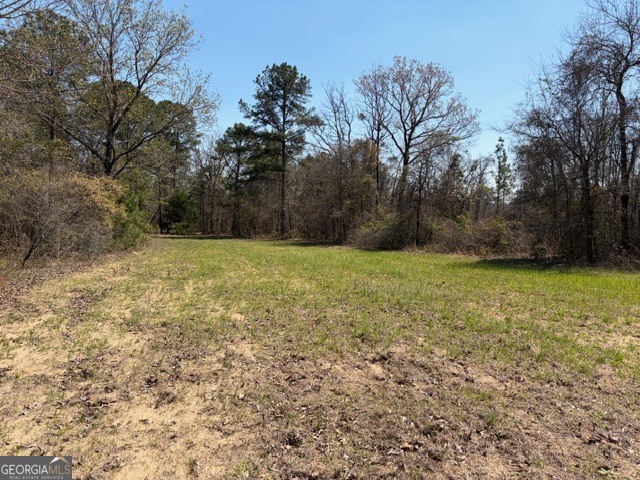461 Currington Road Mauk, GA 31058 - Photo 10 of 30 a view of an outdoor space and a yard