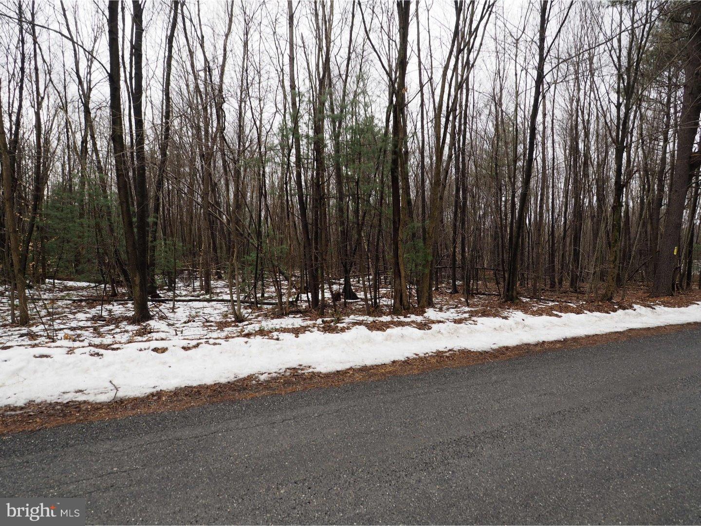 0 West Rabbit Run Road Andreas, PA 18211 - Photo 1 of 1 Gallery Image 1