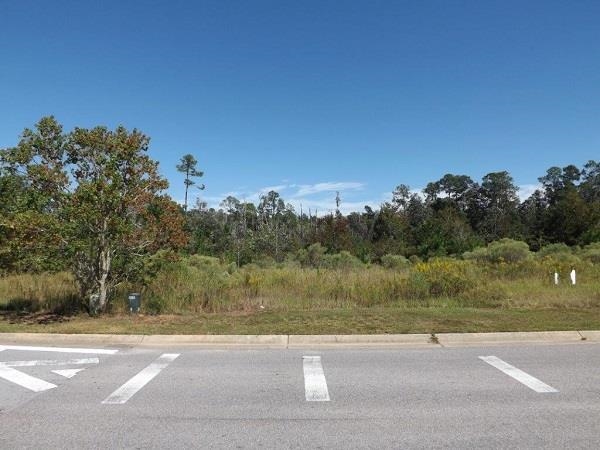 2434 Pine Forest Road Cantonment, FL 32533 - Photo 4 of 6 Gallery Image 4