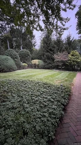 a view of a yard with plants and trees