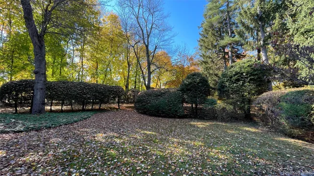 a kitchen with stainless steel appliances granite countertop a stove and a wooden floors