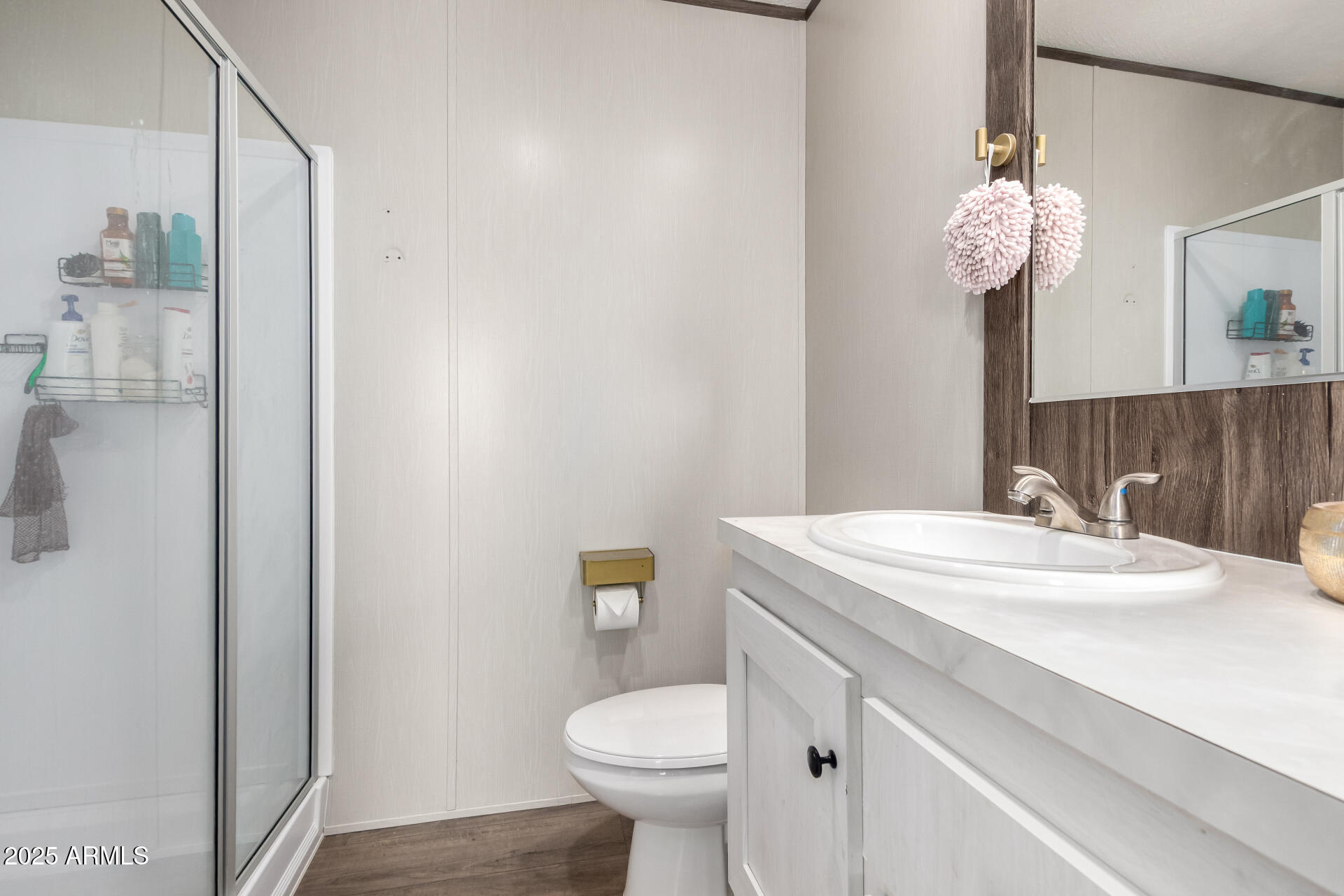 18709 West Riggs Road Buckeye, AZ 85326 - Photo 16 of 29 a bathroom with a sink a toilet and a mirror