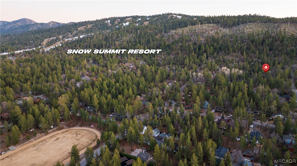 41175 Terrapin Road Big Bear Lake, CA 92315 - Photo 7 of 39