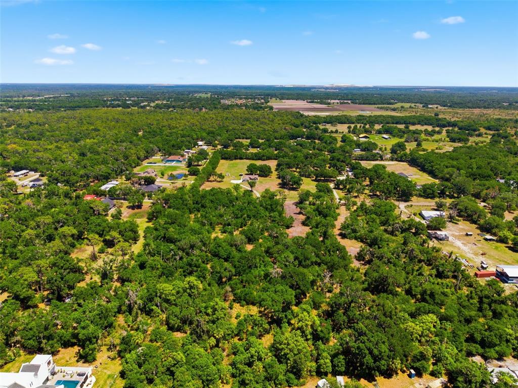 19084 Red Bird Lane, Unit LOT 3 Lithia, FL 33547 - Photo 8 of 16 a view of a city with lush green forest