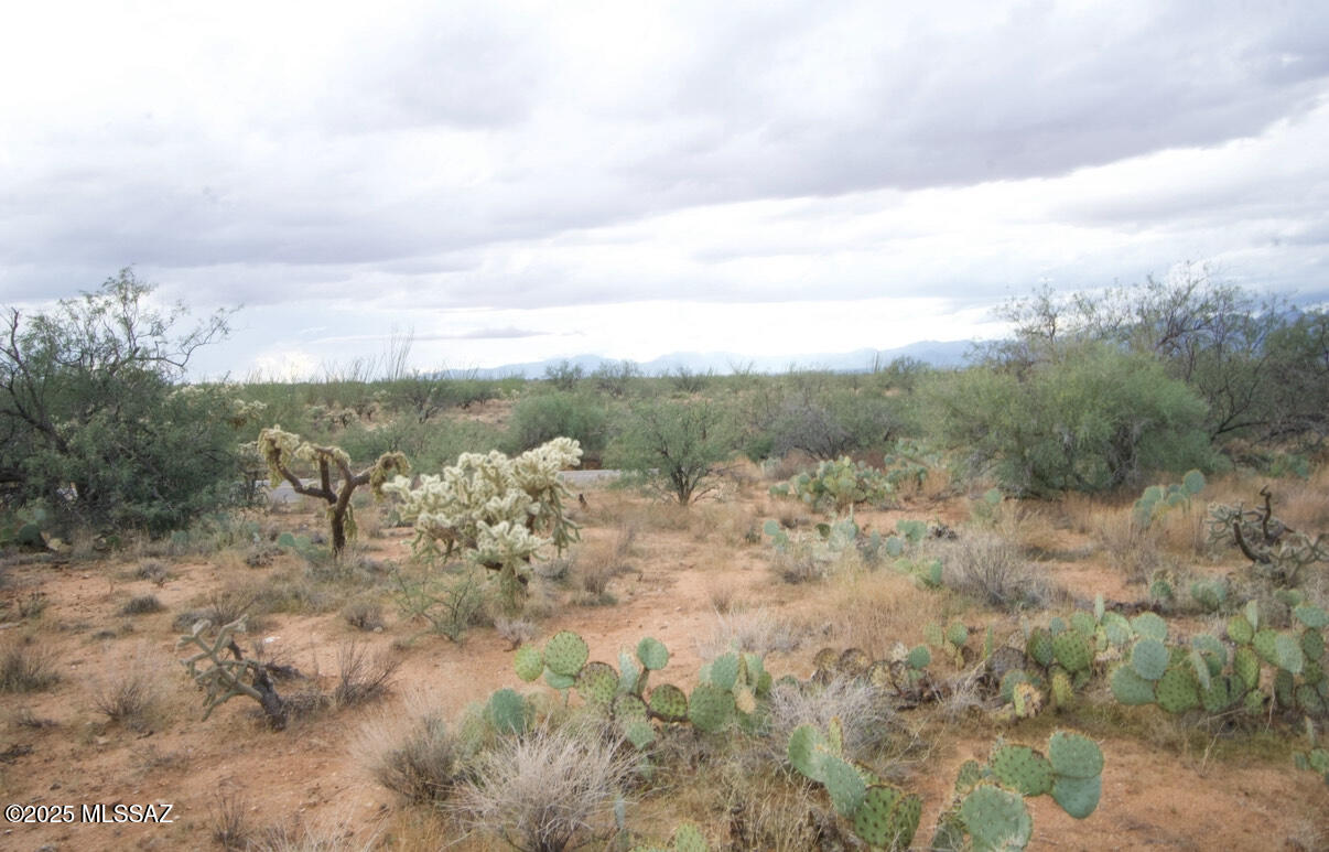 14536 West Diamond Bell Ranch Road, Unit 406 Tucson, AZ 85736 - Photo 12 of 16