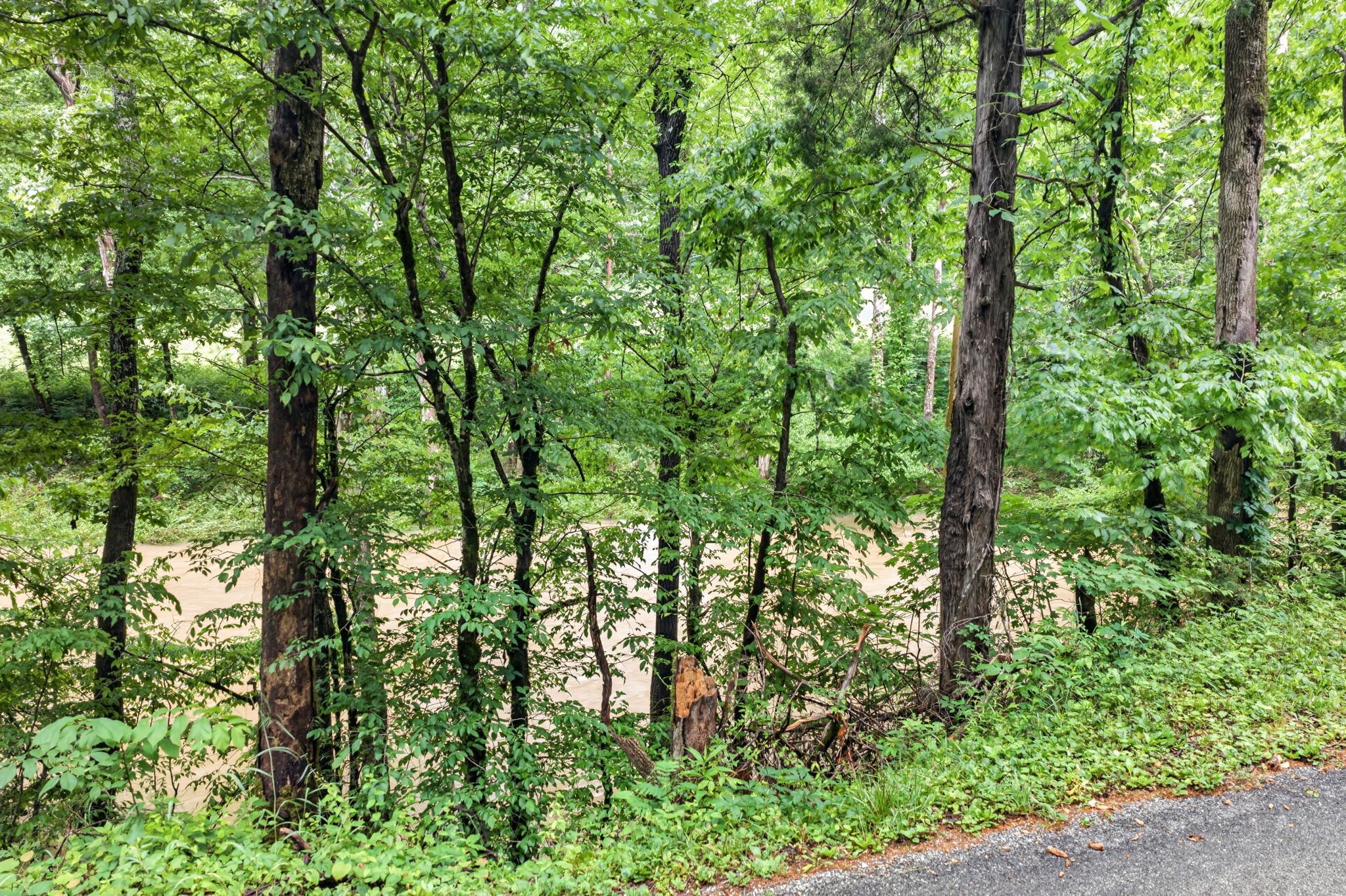 457 Shiloh Road Crawford, TN 38554 - Photo 13 of 22