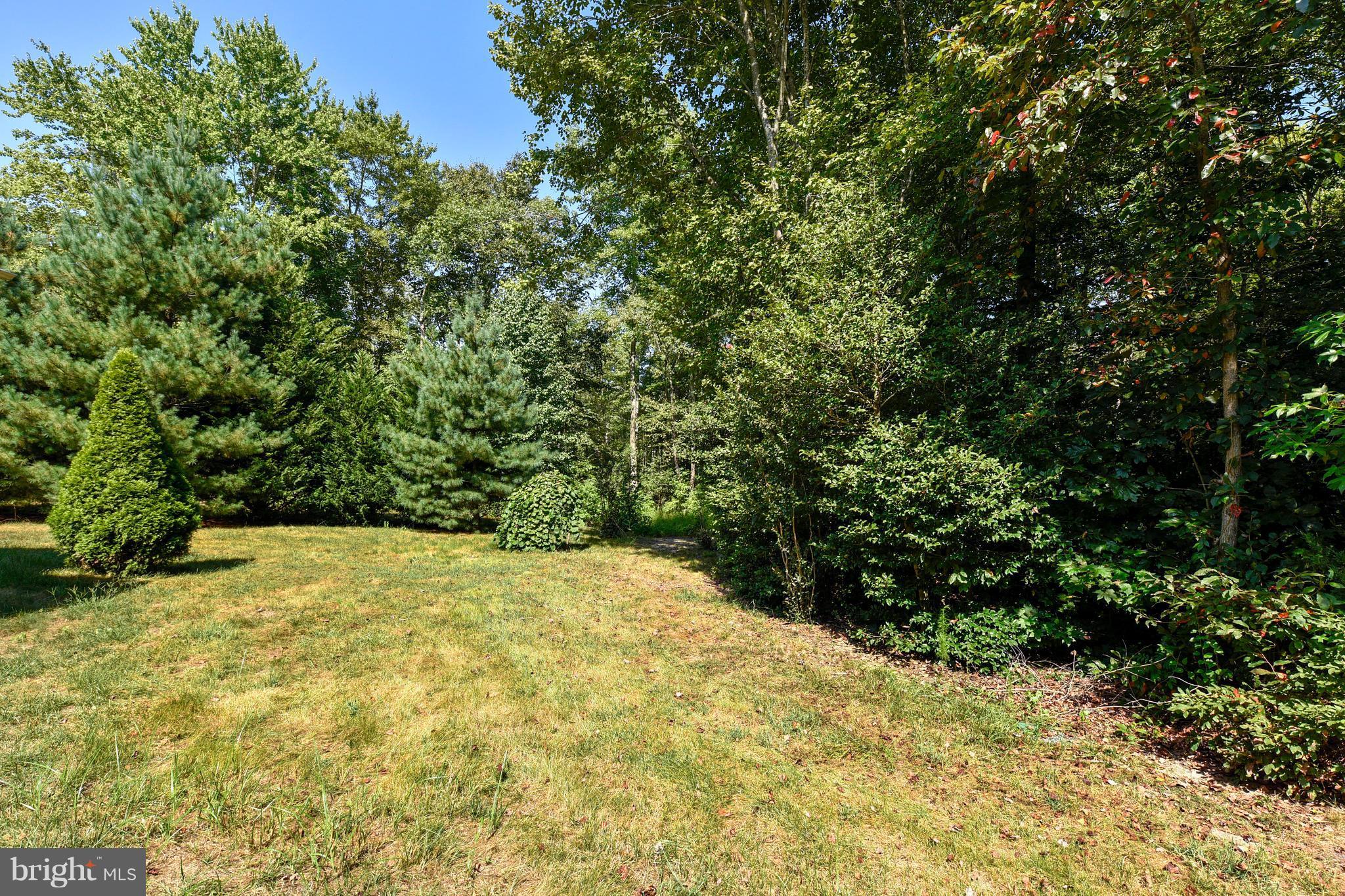 8817 Harmony Road Denton, MD 21629 - Photo 27 of 29 Exterior (General)