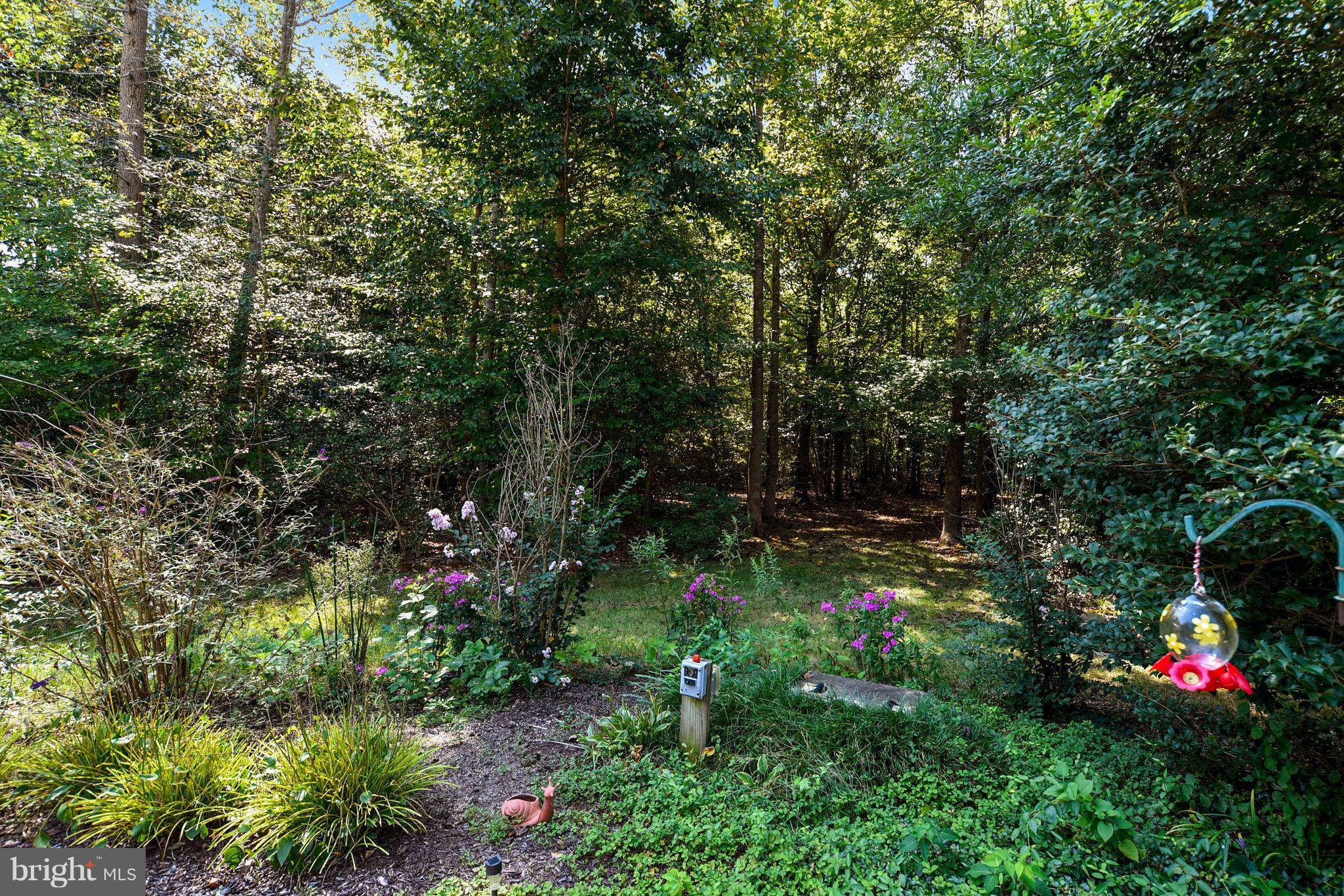 8817 Harmony Road Denton, MD 21629 - Photo 29 of 29 Exterior (General)