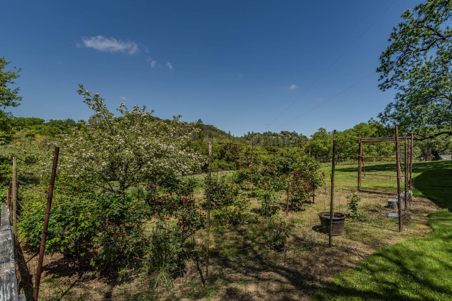 19160 American Flat Road Fiddletown, CA 95629 - Photo 43 of 66 Fenced garden area